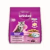 Whiskas Mackerel Flavour Kitten (2 to 12 Months) Cat Dry Food  - 450g