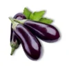 Brinjal