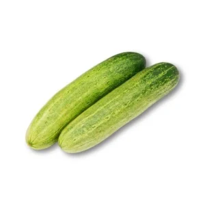 Cucumber