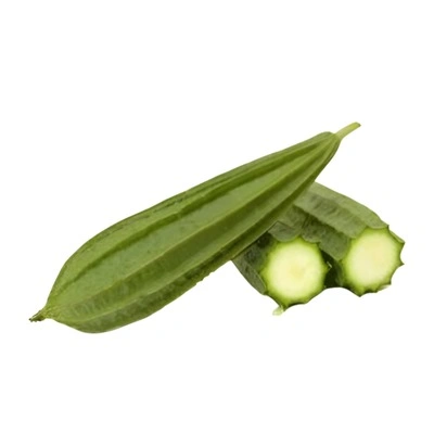 Rigid Gourd